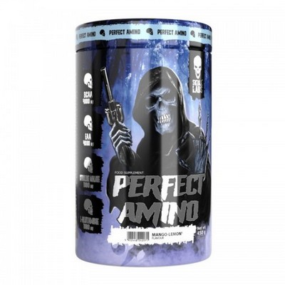 Skull Labs Perfect Amino 450 г  